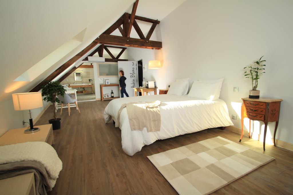Hotel Spa Le Miel Des Muses Brive-la-Gaillarde Rum bild